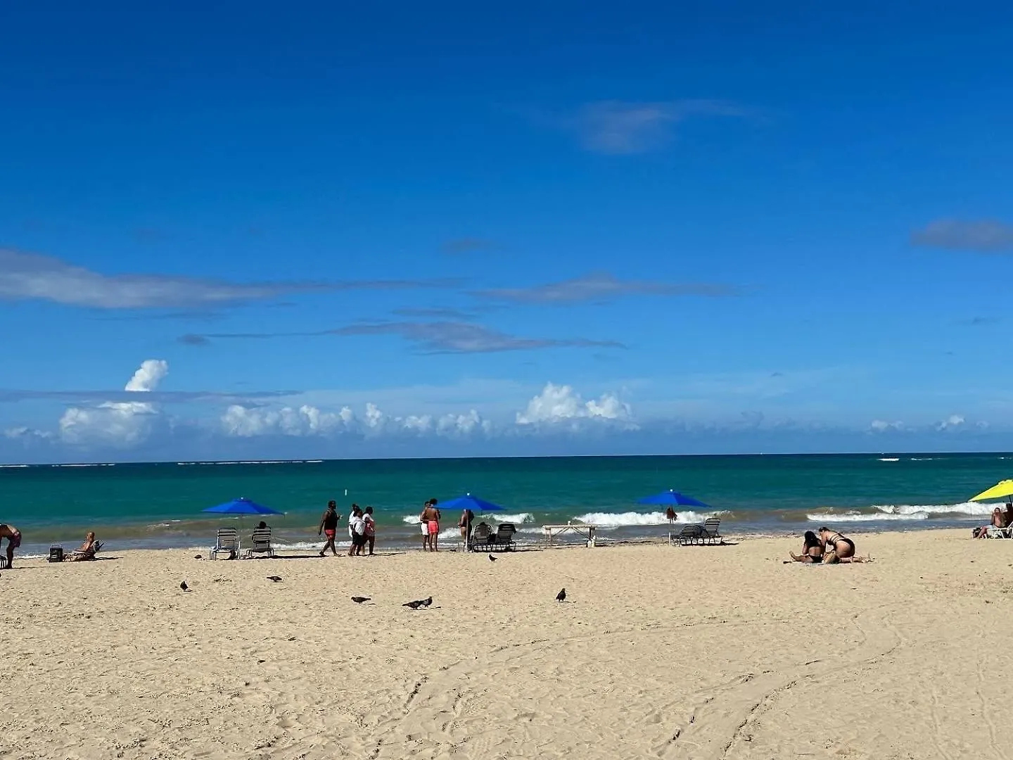 Ocean Front Coral Luxury Apartment San Juan