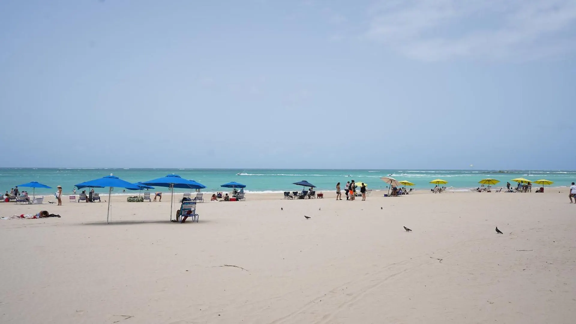 Ocean Front Coral Luxury Apartment San Juan